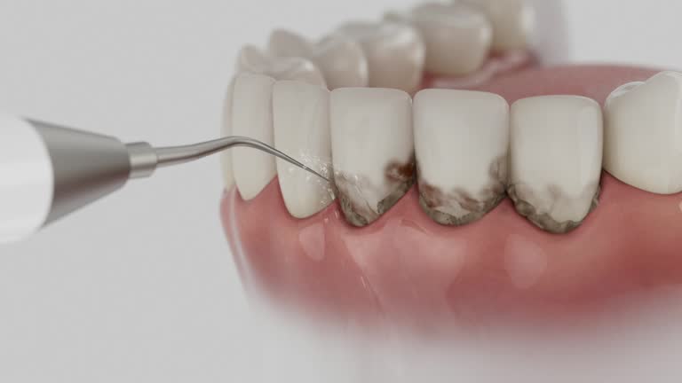 Reliable Dental contractor in Coleman, MI by Dentist Open Now